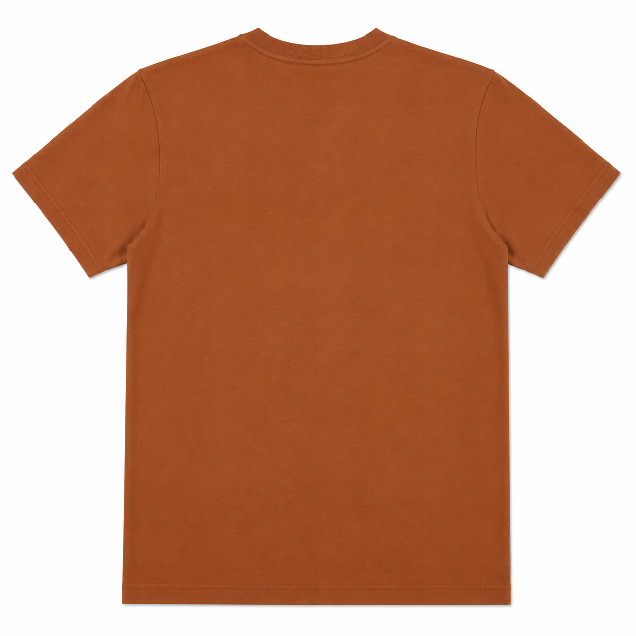 LoomX burnt orange regular fit unisex tee back view