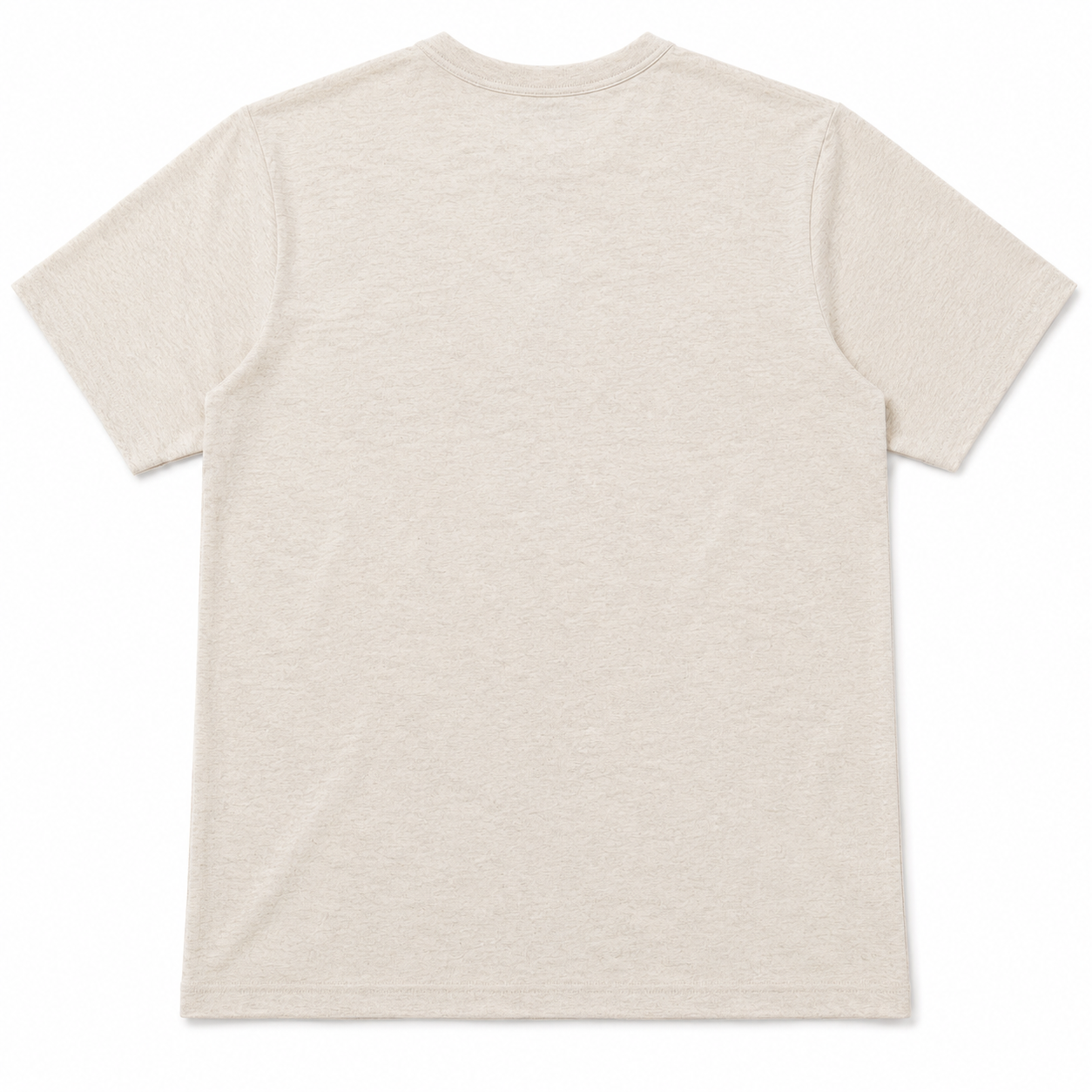 Oatmeal Henley Tee Back View
